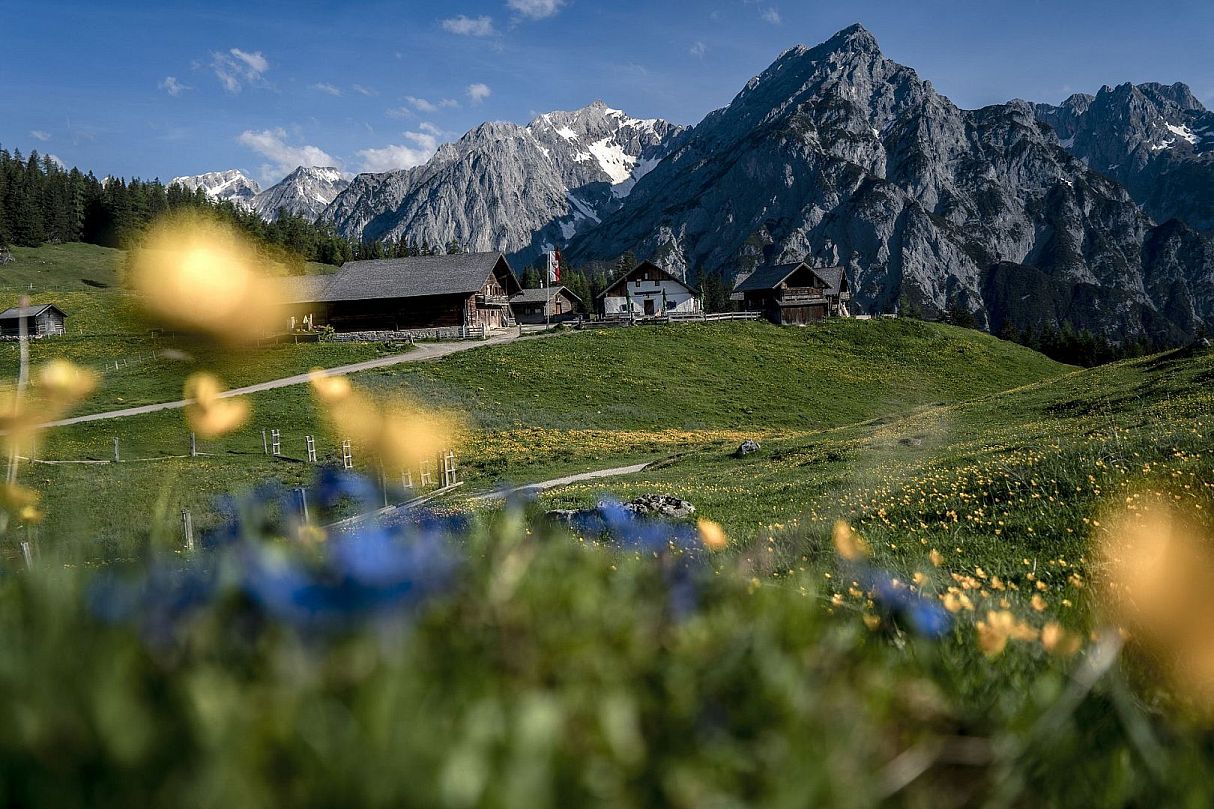 Walderalm Nature Park Karwendel