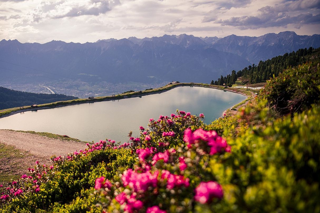 Pine Lake view on Karwendel