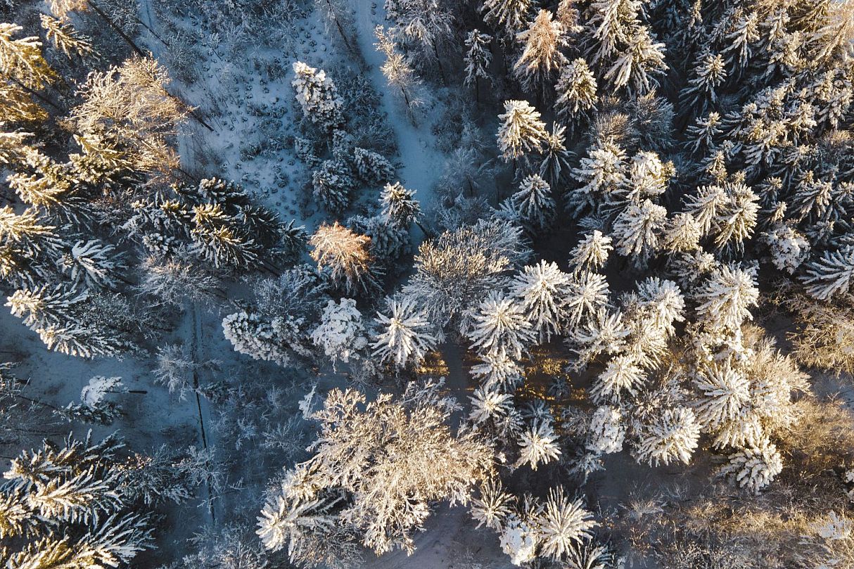 schnee-winterwald-gnadenwaldtourismusverbandhallwattens-2