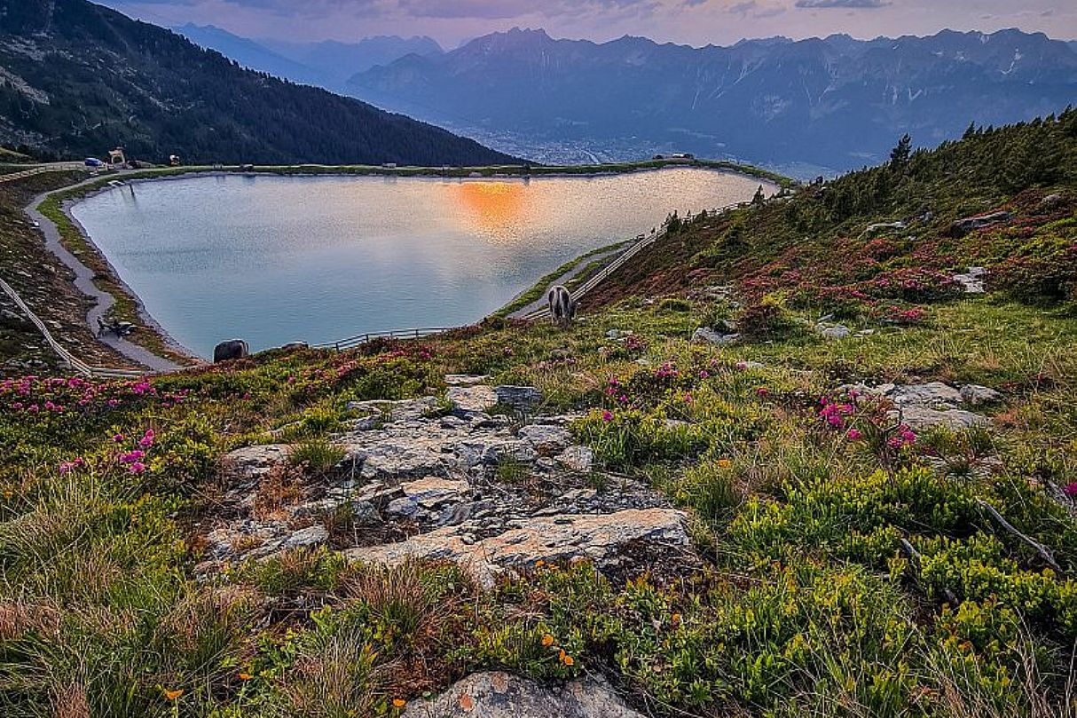 Zirbensee Abendstimmung