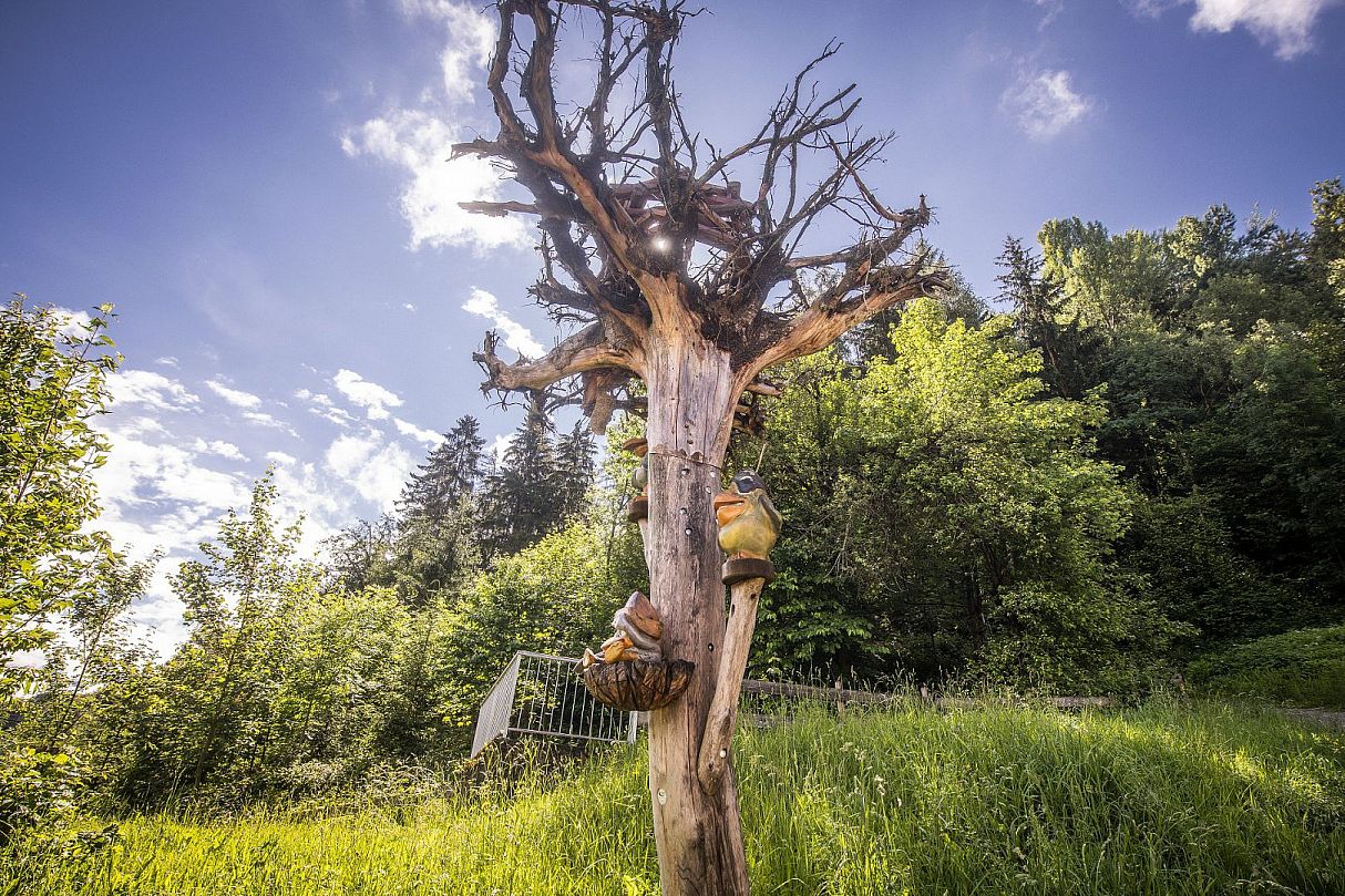 Wandern mit Kindern: Piepmatzweg