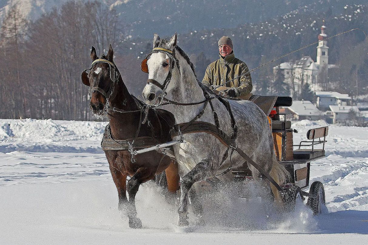 winter-hall-in-tyrol-carriage-ride-tvb-hall-wattens-brigitte-kaltenboeck-2