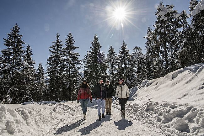 winterurlaub_tirol_winterwandern©tvb_hall_wattens